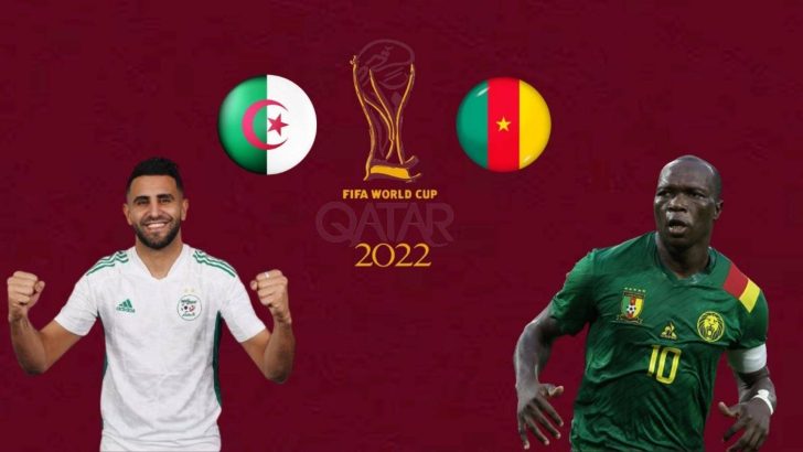 Regarder en direct Cameroun – Algérie en Streaming