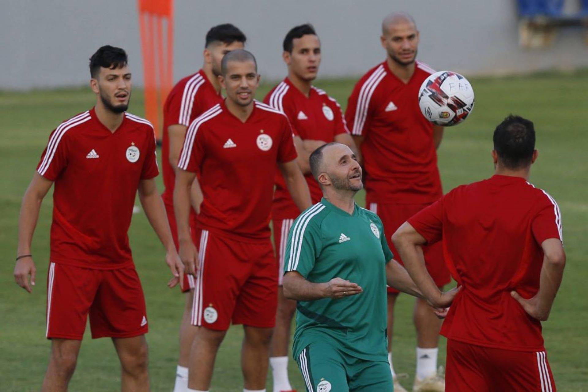 Liste de Belmadi pour octobre : Ce qu’il faut retenir