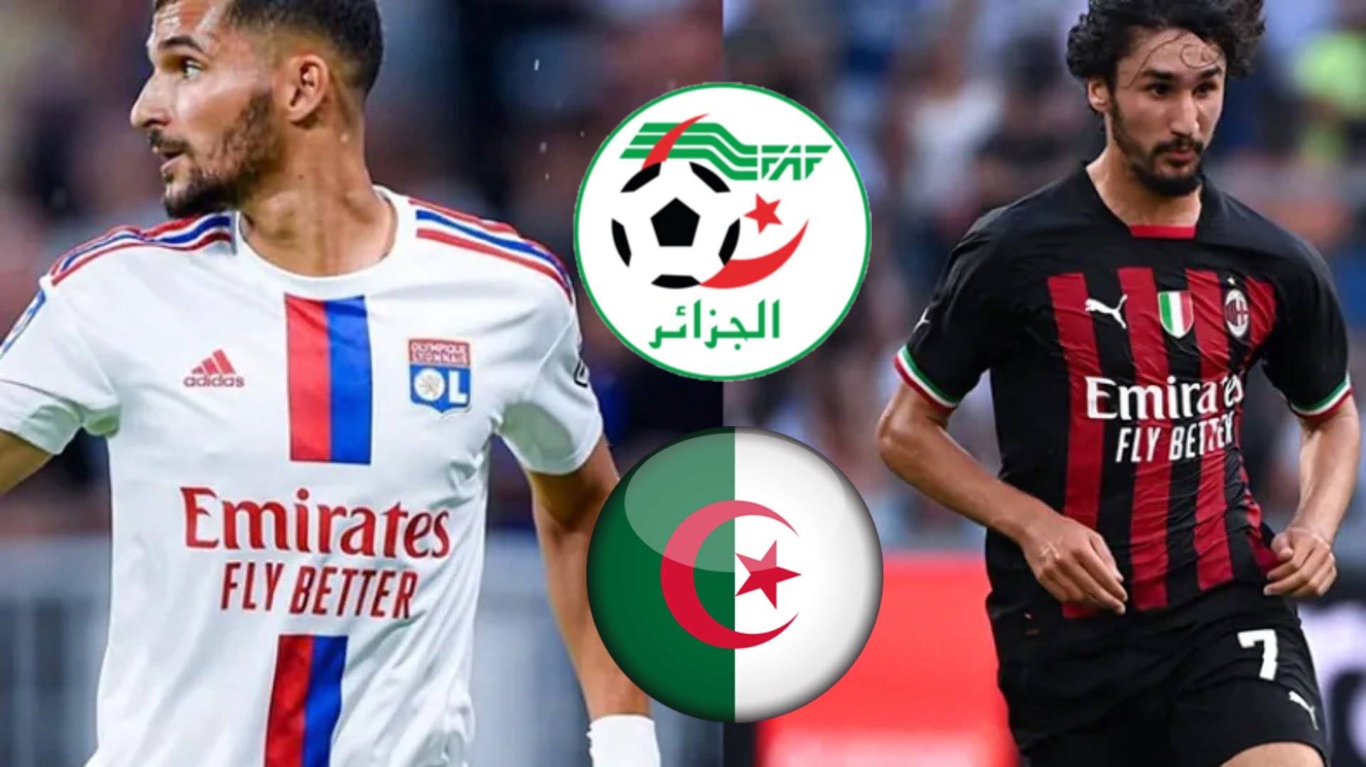 La FAF se prononce sur l’arrivée de Aouar et Adli en équipe d’Algérie