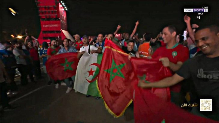 Les Algériens et Marocains fêtent ensemble la victoire des Lions face à la Belgique (Vidéo)