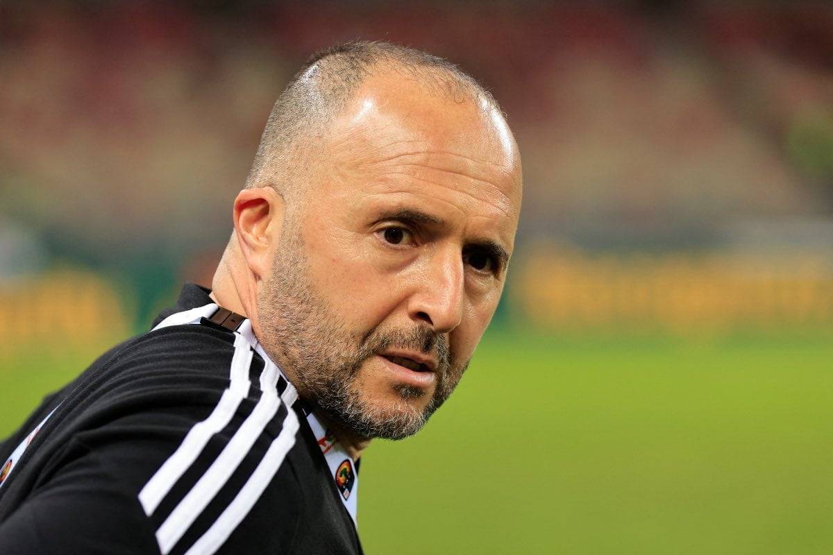 Djamel Belmadi en plein cauchemar