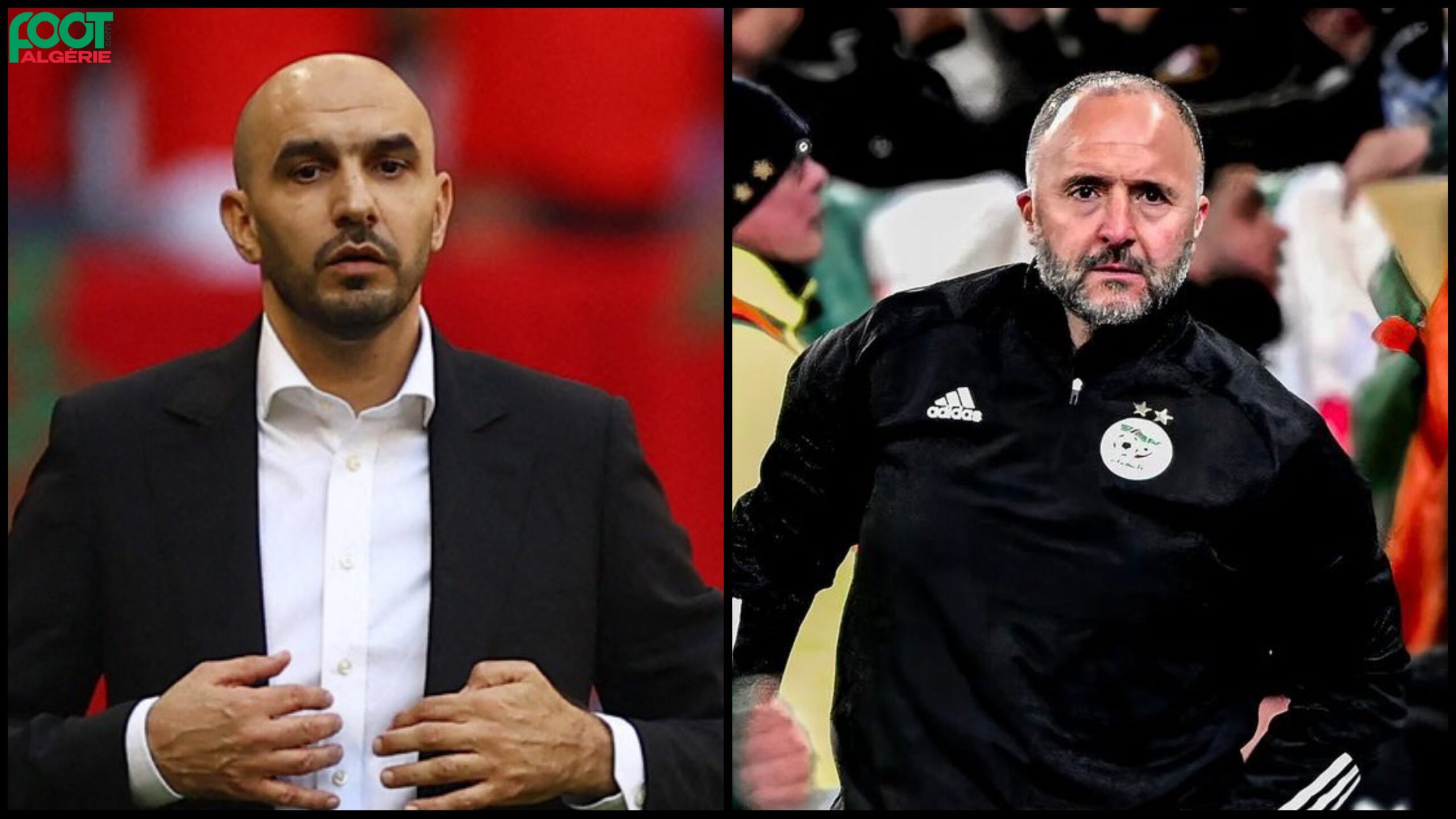 Djamel Belmadi tire chapeau au Maroc et à Walid Regragui