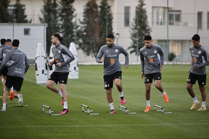 Algérie : Quelle équipe de Belmadi pour affronter le Niger ?