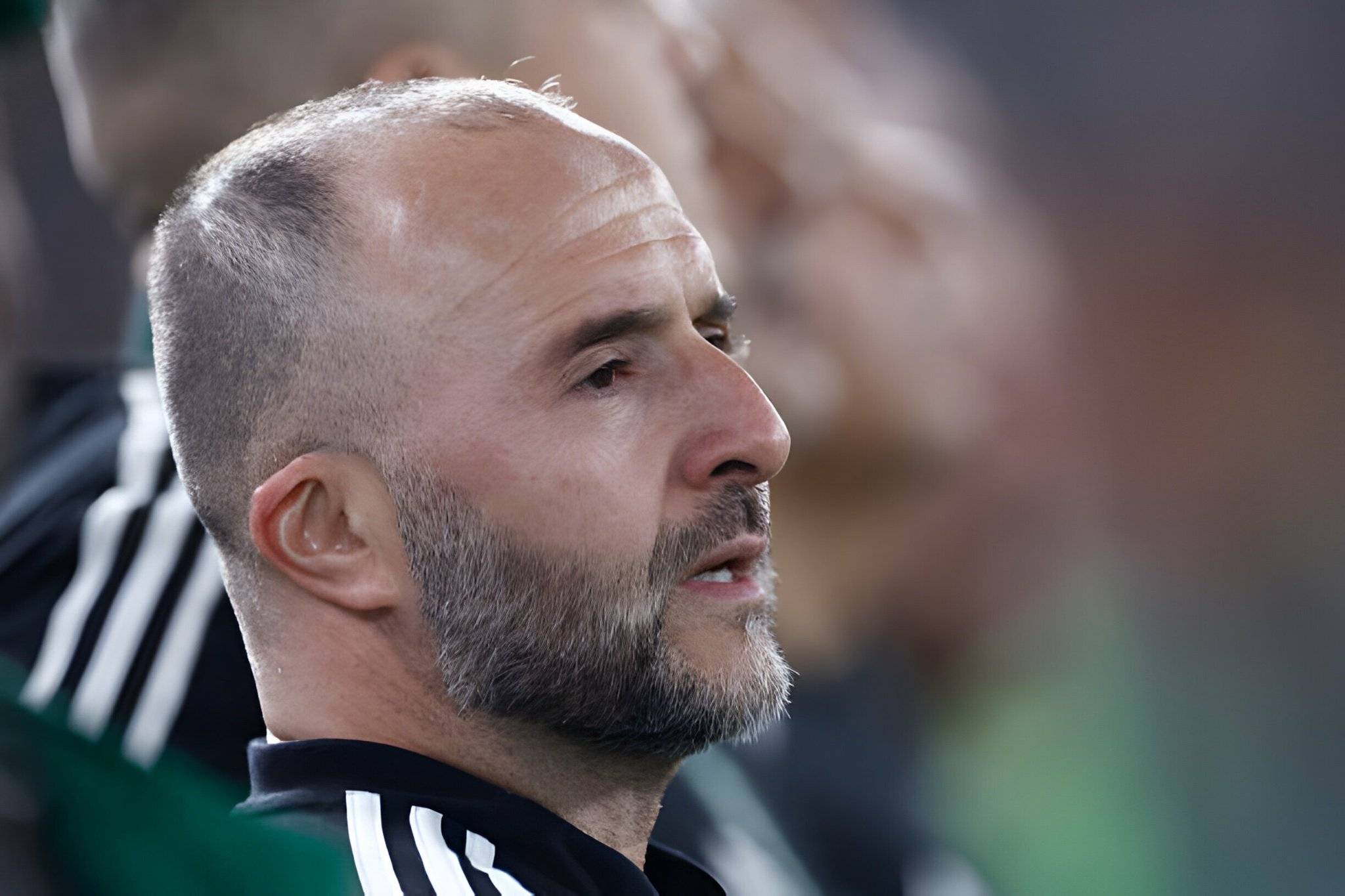 Retour de Belmadi sur un banc : « Pas avant l’été »